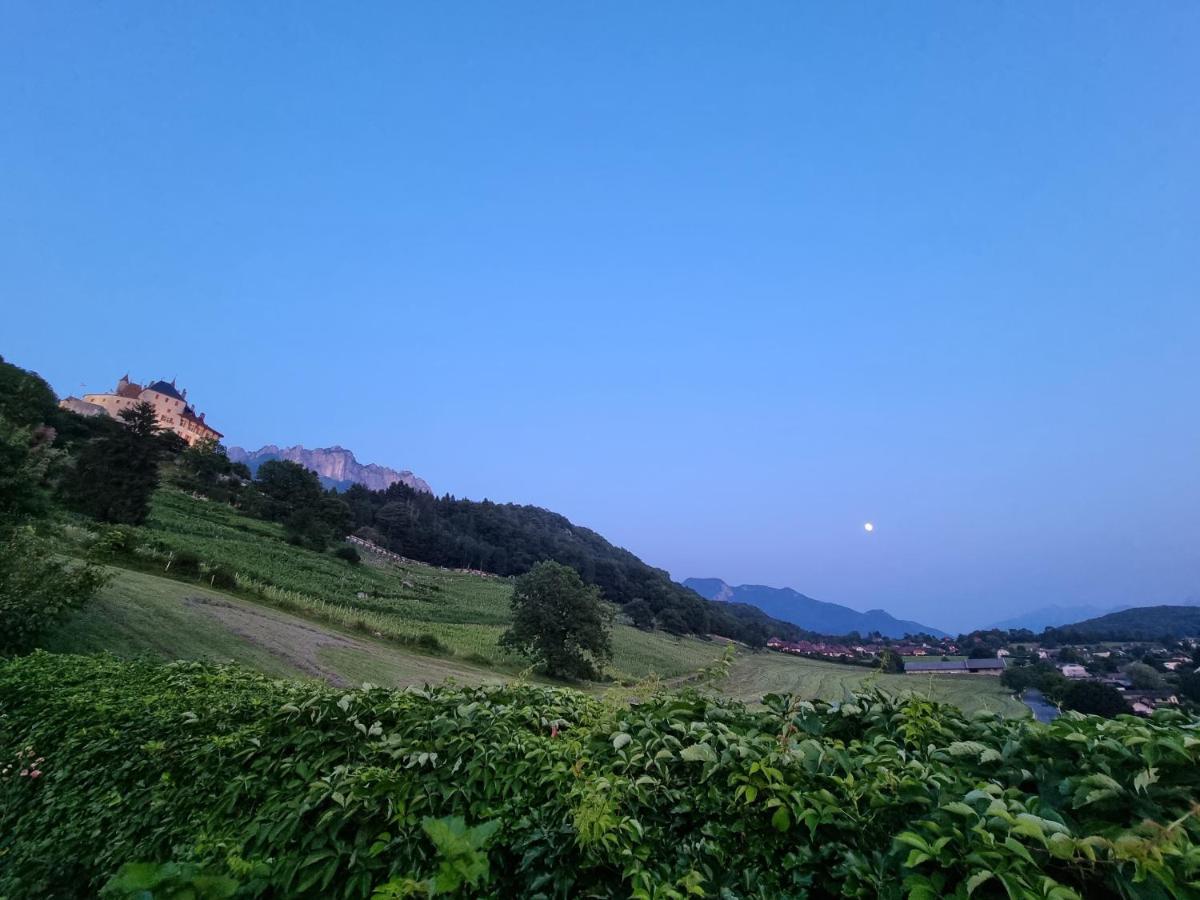 La Vallombreuse Bed and Breakfast Menthon-Saint-Bernard Exteriör bild