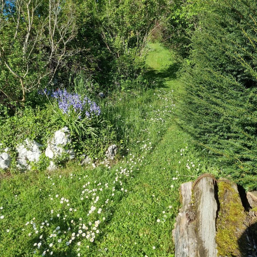 La Vallombreuse Bed and Breakfast Menthon-Saint-Bernard Exteriör bild